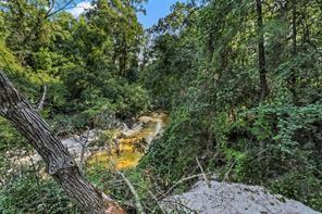 21005 Sims Vallon Road, Covington, Louisiana image 32
