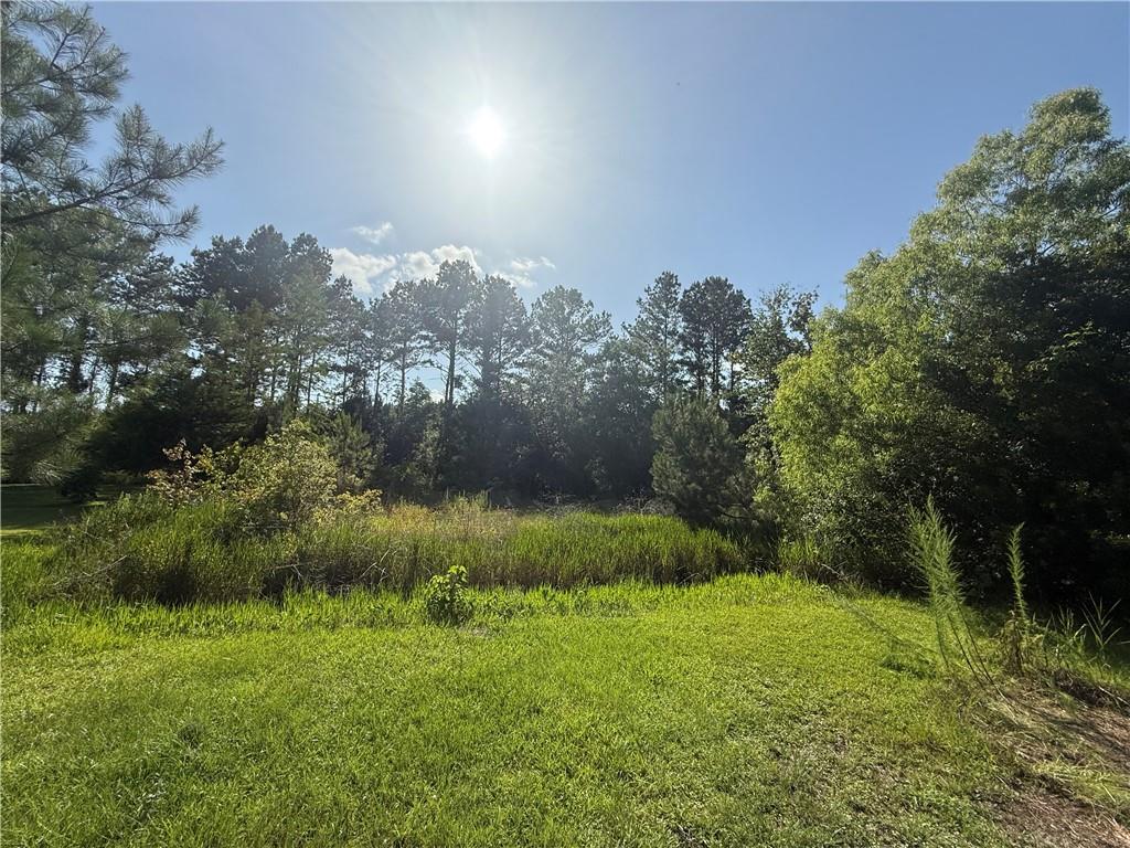 70377 Sipes Lane, Pearl River, Louisiana image 2