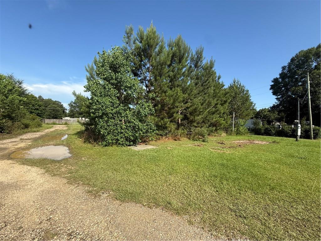 70377 Sipes Lane, Pearl River, Louisiana image 3