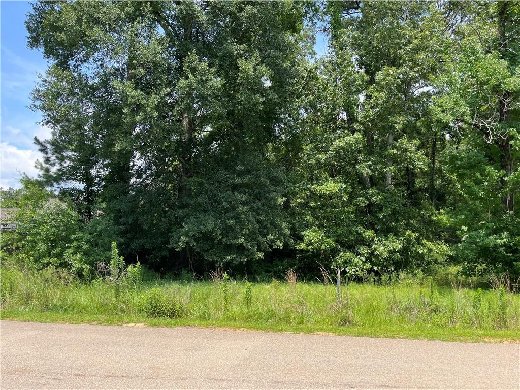 Pine Crest Drive, Madisonville, Louisiana image 1