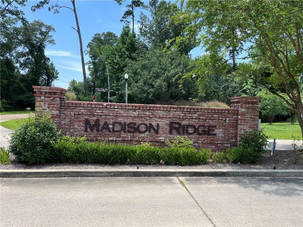 Pine Crest Drive, Madisonville, Louisiana image 3