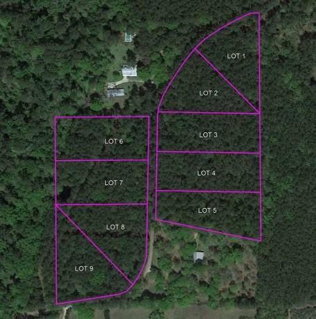 Lot 9 Hubert Stilley Road, Independence, Louisiana image 2