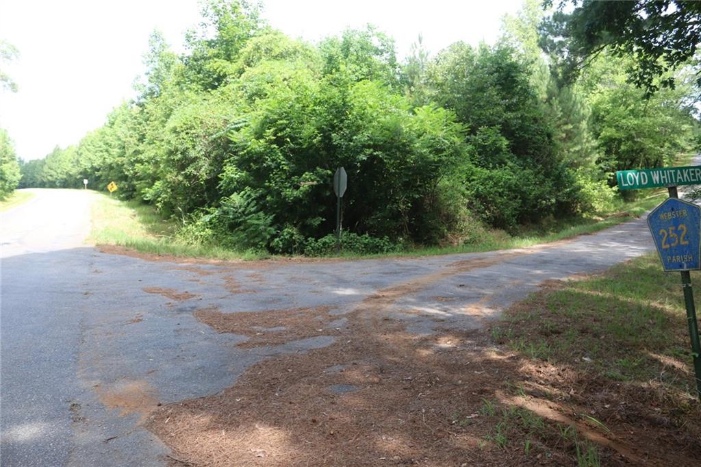 1800-1900 Parish 277 Road, Shongaloo, Louisiana image 6