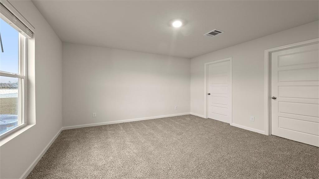24314 Cordgrass Lane, Ponchatoula, Louisiana image 14
