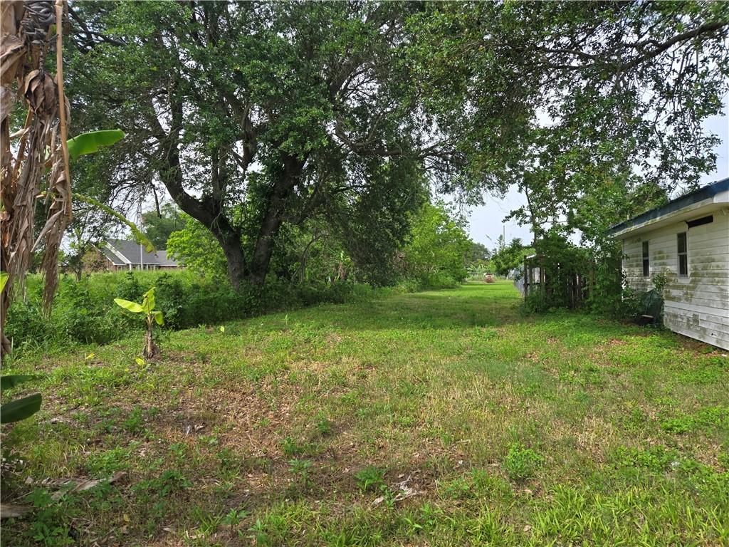 146 Satsuma Drive, Buras, Louisiana image 4