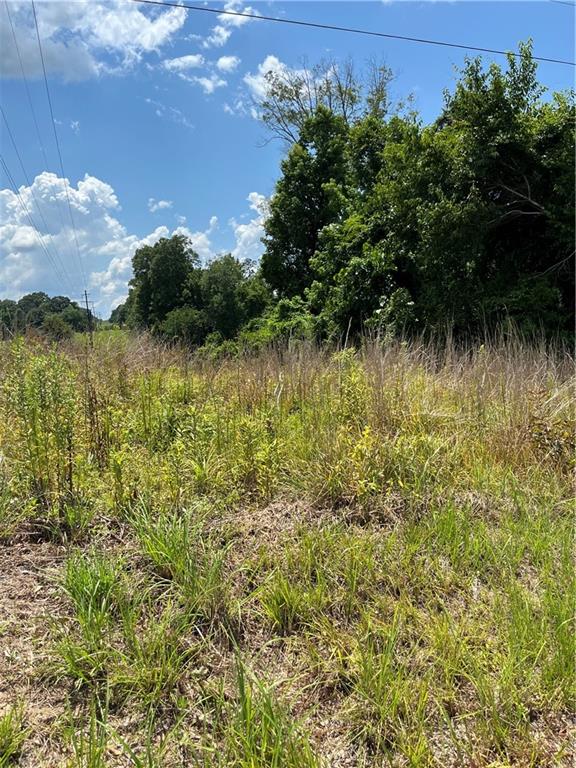 10 Acres Chess Gerald Road, Franklinton, Louisiana image 3