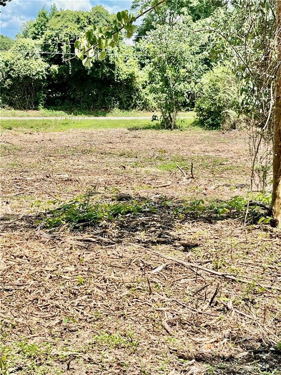 10 Acres Chess Gerald Road, Franklinton, Louisiana image 6