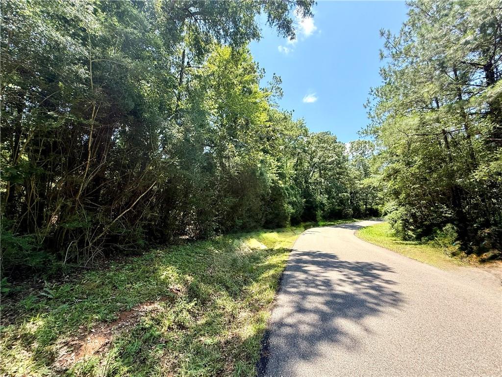 Lot 101 Lake Choctaw Drive, Franklinton, Louisiana image 1