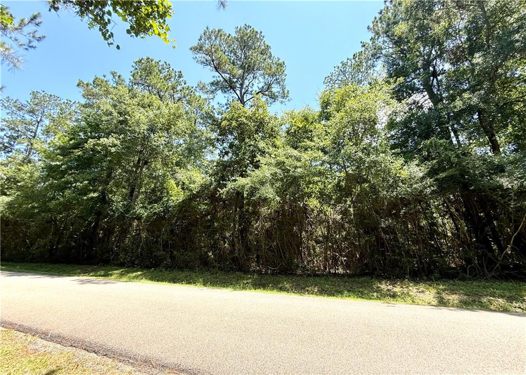 Lot 101 Lake Choctaw Drive, Franklinton, Louisiana image 2