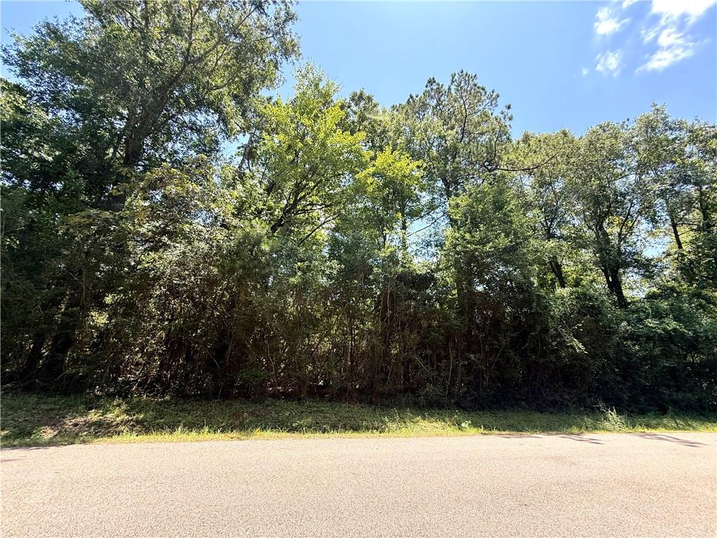 Lot 101 Lake Choctaw Drive, Franklinton, Louisiana image 4