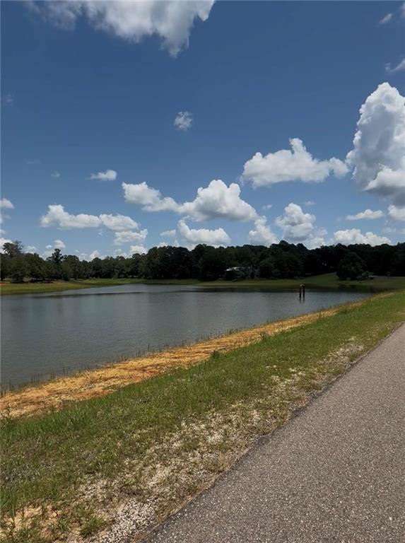 Lot 101 Lake Choctaw Drive, Franklinton, Louisiana image 5