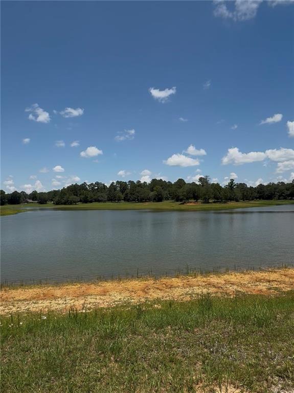 Lot 101 Lake Choctaw Drive, Franklinton, Louisiana image 6