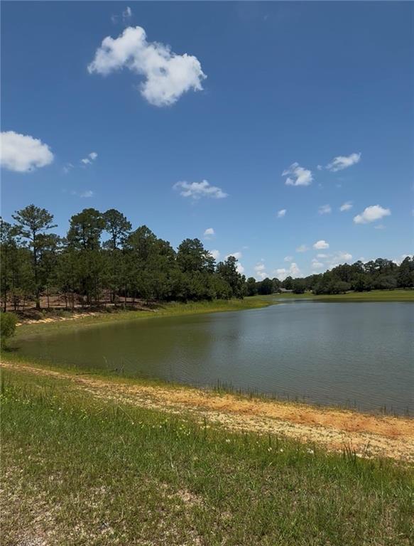 Lot 101 Lake Choctaw Drive, Franklinton, Louisiana image 7