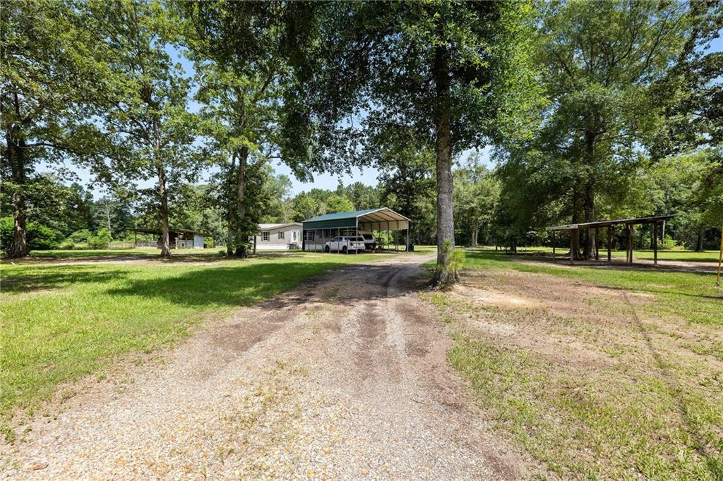 29555 Mary Kinchen Road, Independence, Louisiana image 18