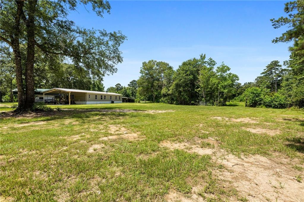 29555 Mary Kinchen Road, Independence, Louisiana image 21