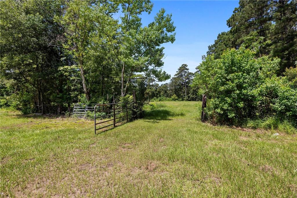 29555 Mary Kinchen Road, Independence, Louisiana image 22