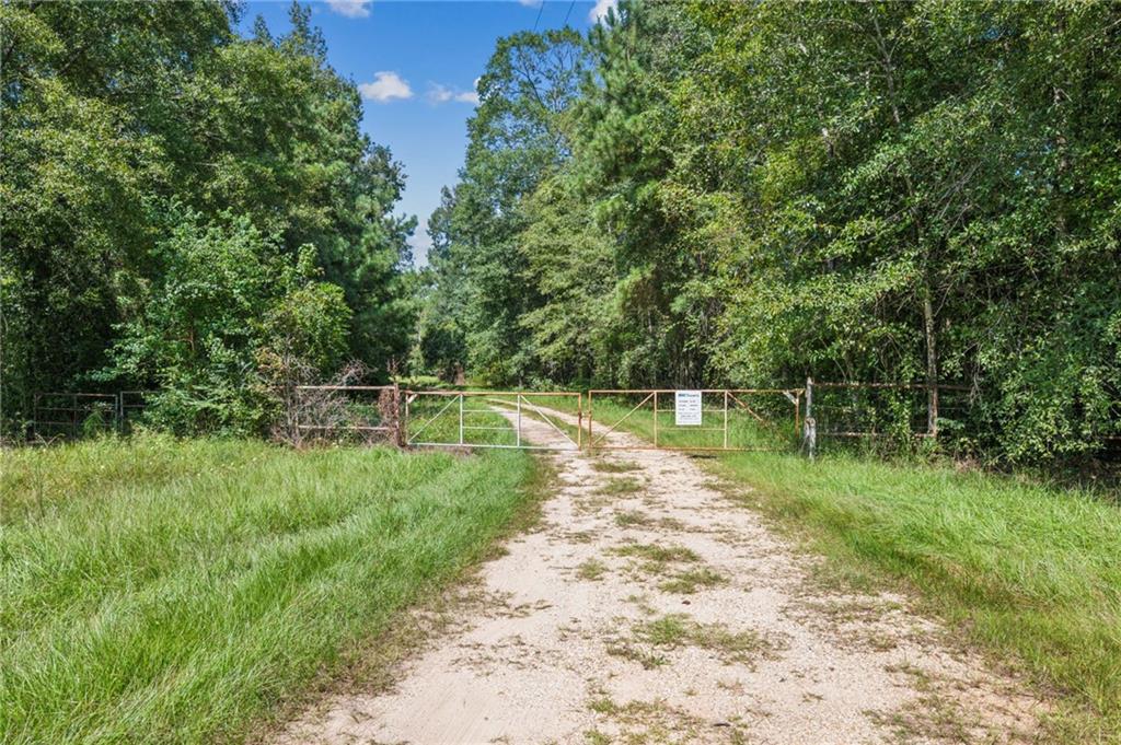 78043 Highway 21 Highway, Bush, Louisiana image 3