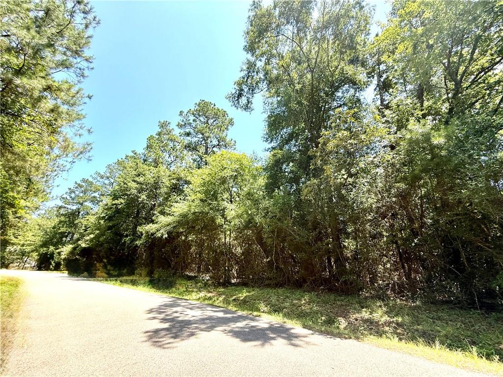 Lot 102 Lake Choctaw Drive, Franklinton, Louisiana image 3