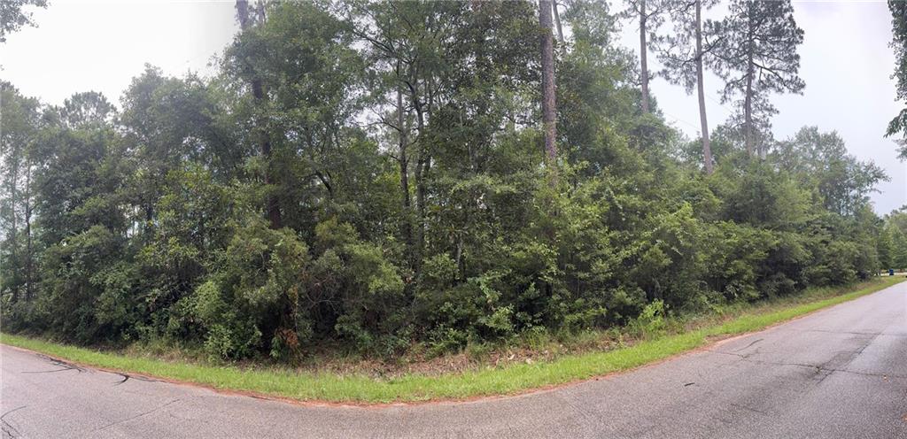 W Ruth Road, Lacombe, Louisiana image 1