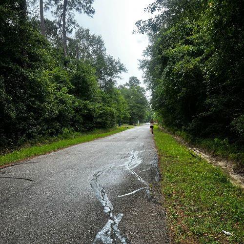 W Ruth Road, Lacombe, Louisiana image 4