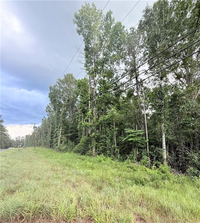 Hwy 38 Highway, Mount Hermon, Louisiana image 1