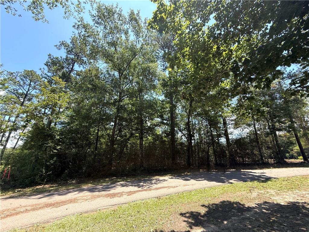 Lot 127 West Choctaw Drive, Franklinton, Louisiana image 2