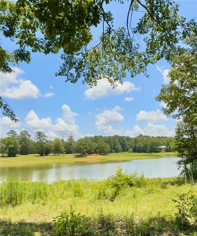 Lot 127 West Choctaw Drive, Franklinton, Louisiana image 3