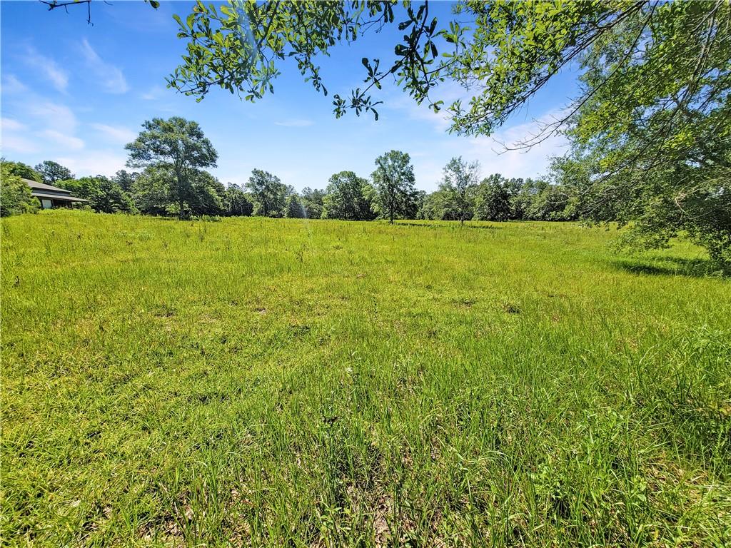 530 Geronimo Drive, Covington, Louisiana image 2