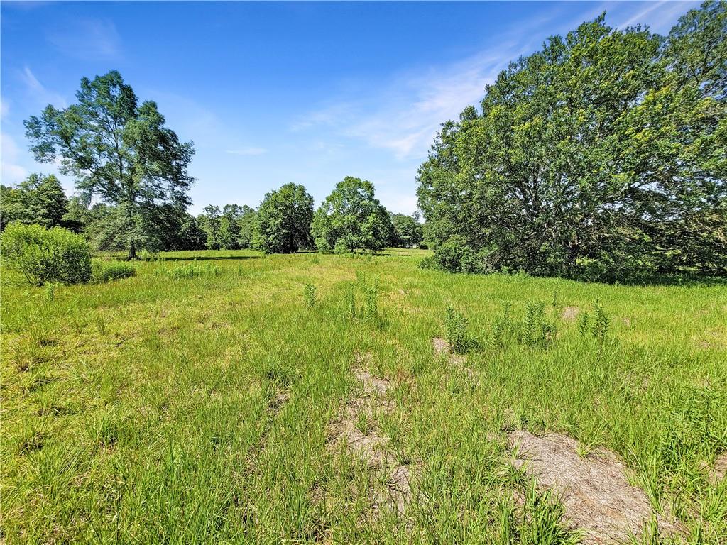 530 Geronimo Drive, Covington, Louisiana image 6