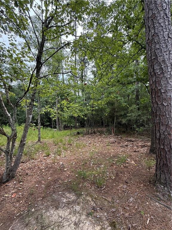 154A Derbes Drive, Covington, Louisiana image 5