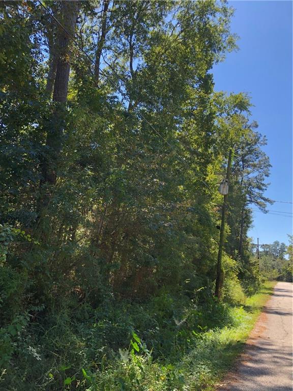 Lot 24 Durnin Street, Lacombe, Louisiana image 10