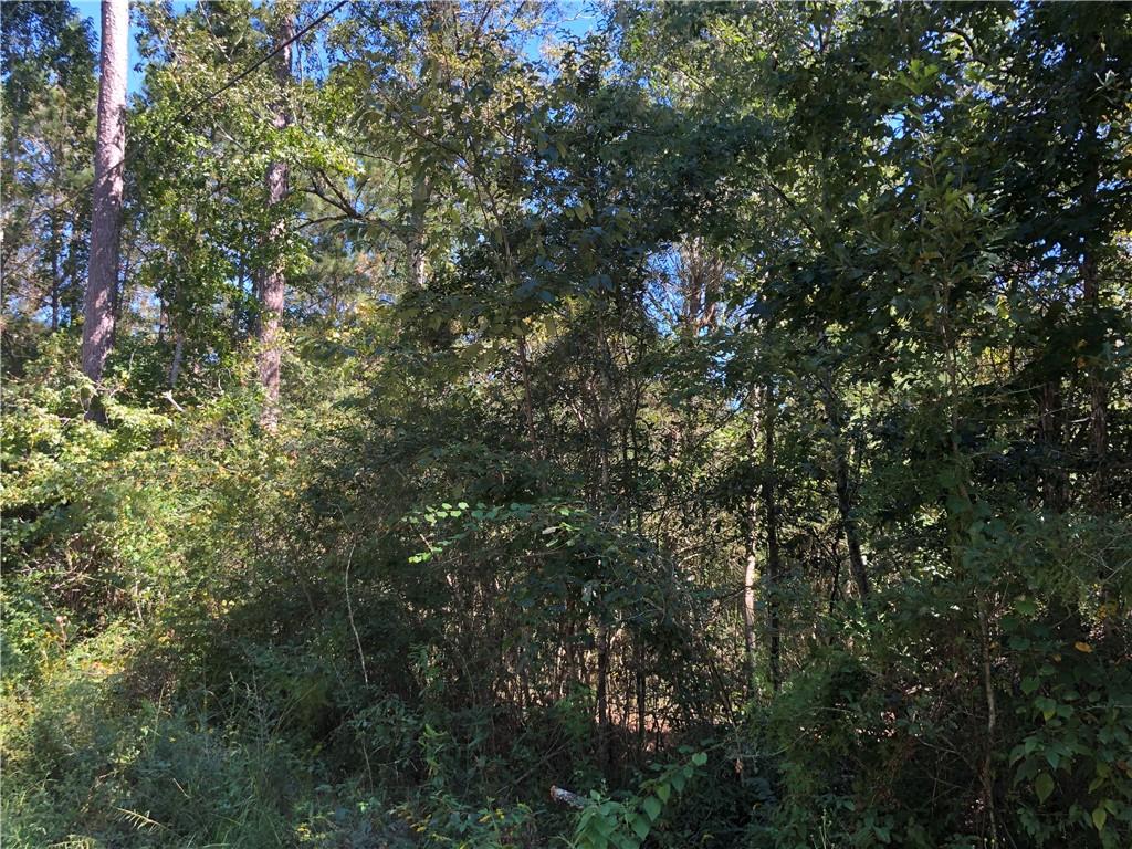 Lot 24 Durnin Street, Lacombe, Louisiana image 14