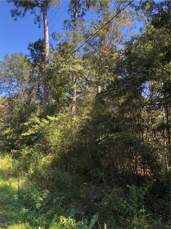 Lot 24 Durnin Street, Lacombe, Louisiana image 15