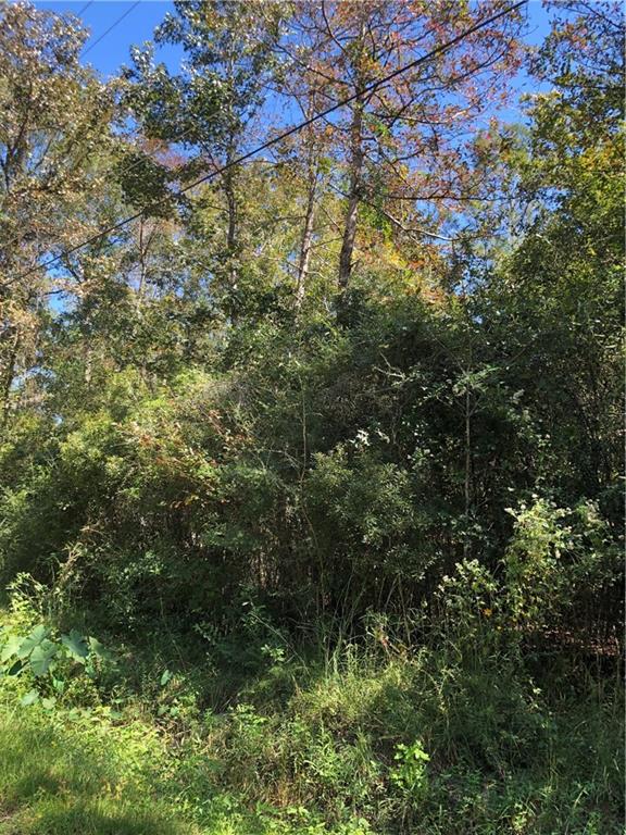 Lot 24 Durnin Street, Lacombe, Louisiana image 17
