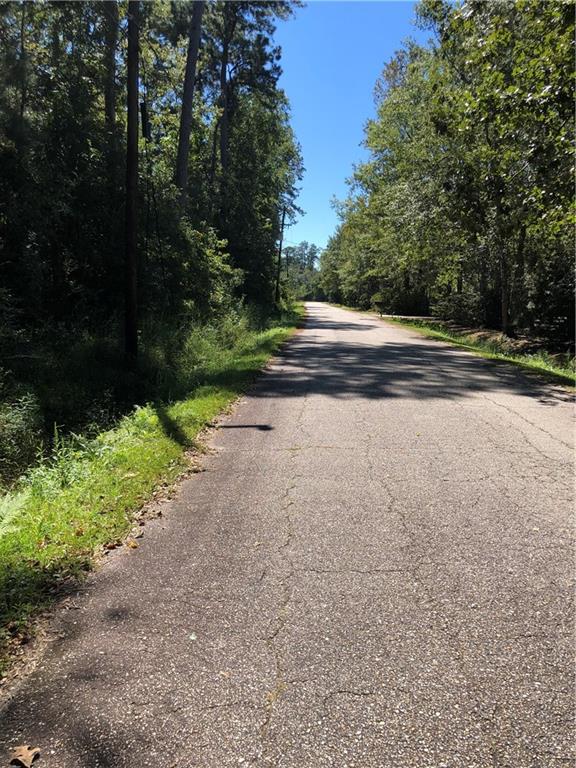 Lot 24 Durnin Street, Lacombe, Louisiana image 2