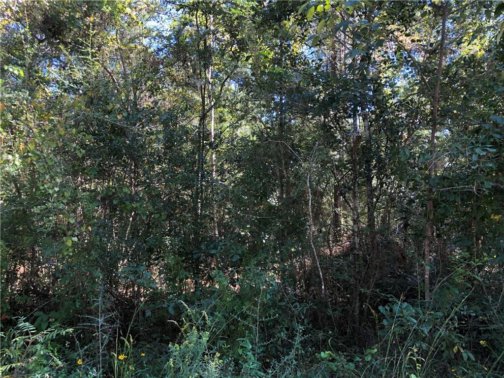 Lot 24 Durnin Street, Lacombe, Louisiana image 20