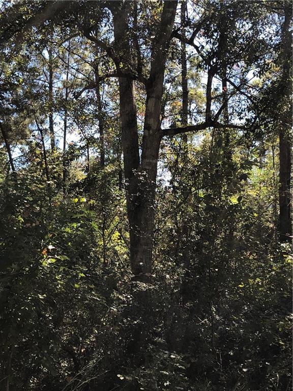 Lot 24 Durnin Street, Lacombe, Louisiana image 4