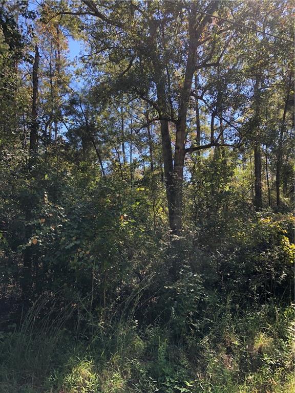 Lot 24 Durnin Street, Lacombe, Louisiana image 5
