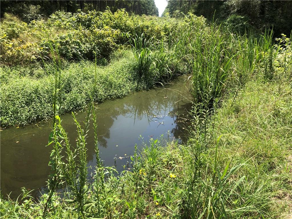 Lot 24 Durnin Street, Lacombe, Louisiana image 9