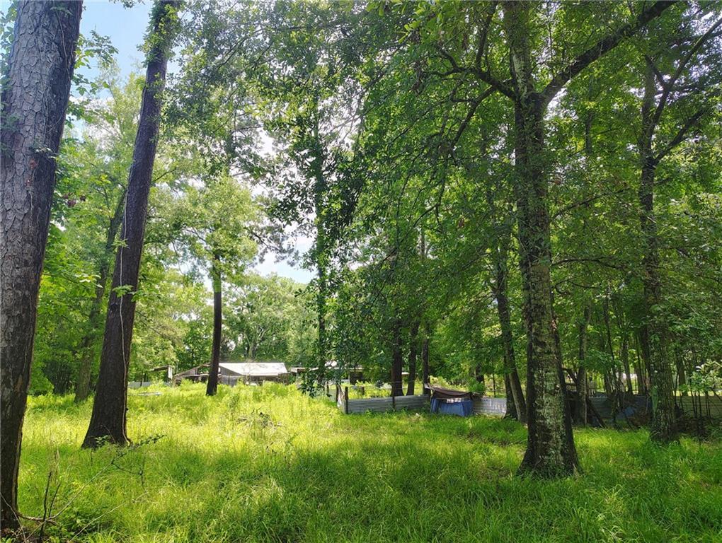 117 Highway 1077 Highway, Madisonville, Louisiana image 5