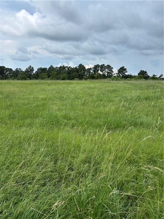 Lot 54 S Chenier Drive, Madisonville, Louisiana image 4
