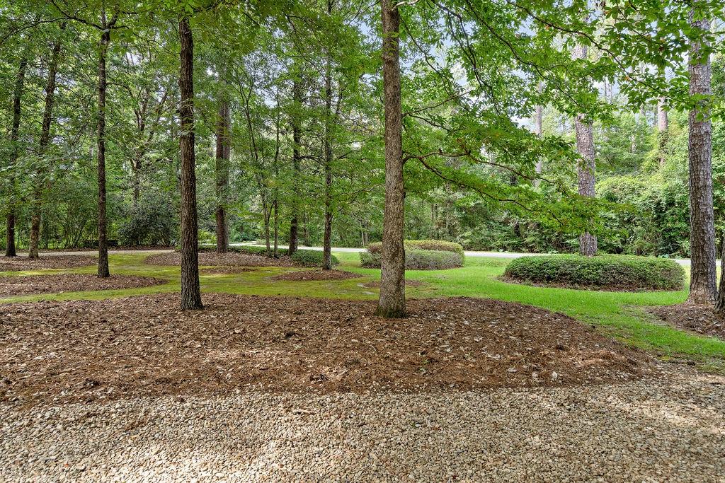 9 Elizabeth Drive, Covington, Louisiana image 3