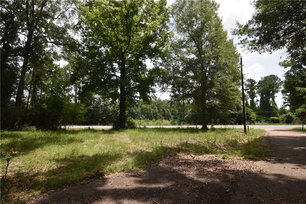 001 Wilson Lane, Pearl River, Louisiana image 1