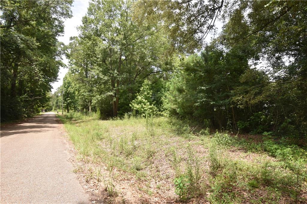 001 Wilson Lane, Pearl River, Louisiana image 2