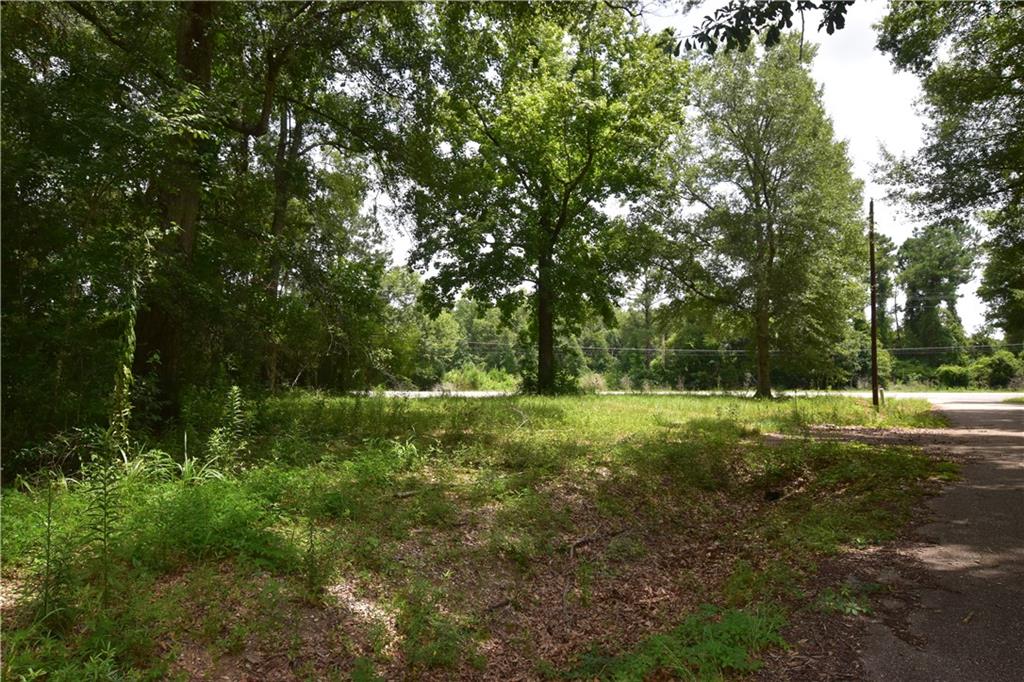 001 Wilson Lane, Pearl River, Louisiana image 3