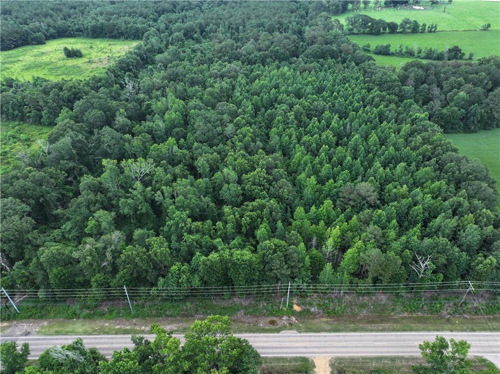 La Hwy 40 Highway, Loranger, Louisiana image 3