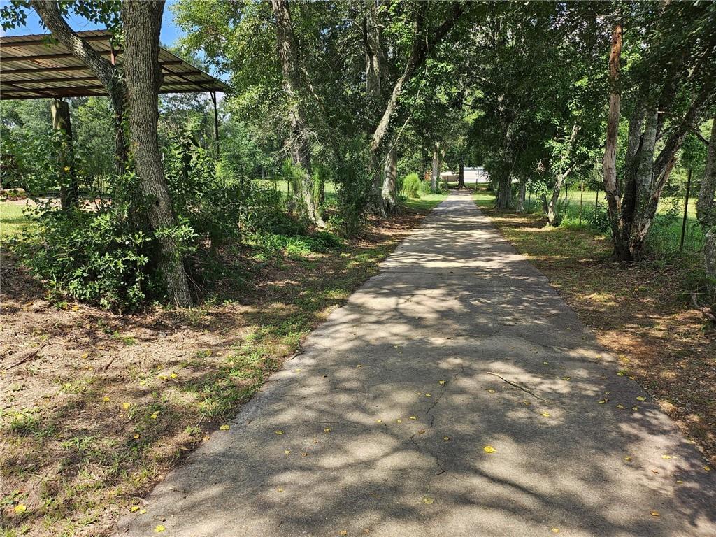25176 Seals Road, Kentwood, Louisiana image 21