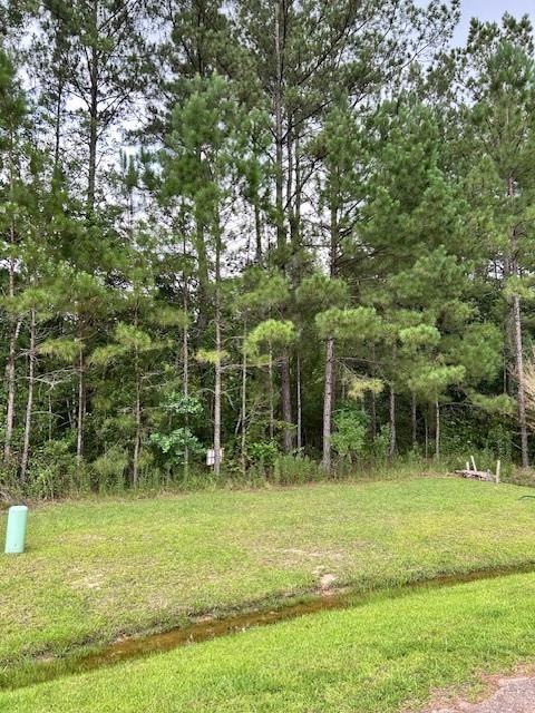 300 Beebalm Circle, Covington, Louisiana image 2