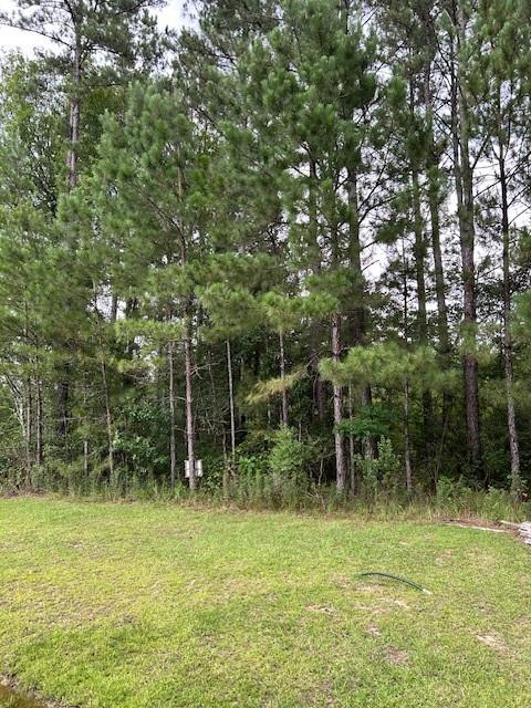 300 Beebalm Circle, Covington, Louisiana image 3