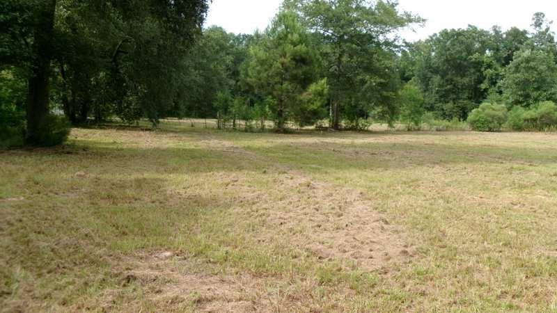 19127 Alia Lane, Hammond, Louisiana image 2
